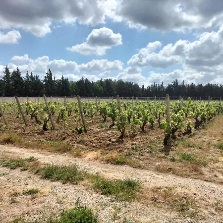 Dimora Storica Minioti Intera Villa