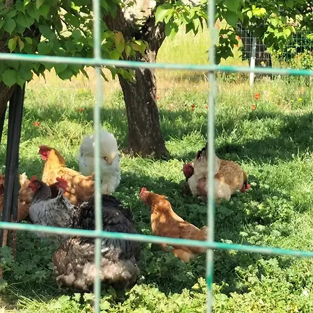 Dimora Storica Minioti Intera Villa *